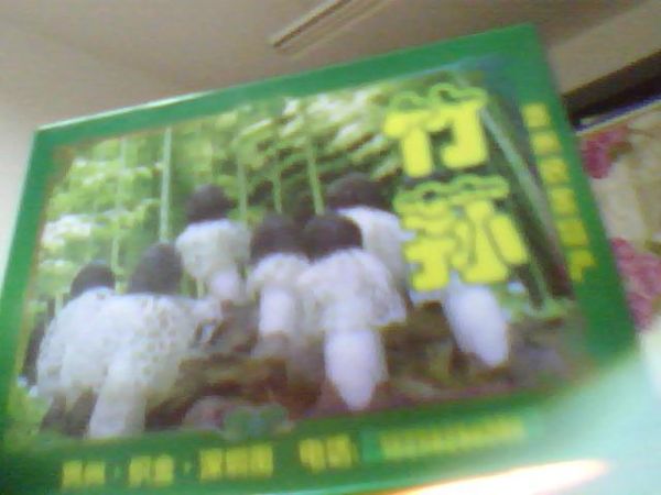 ͼƬ 012.jpg