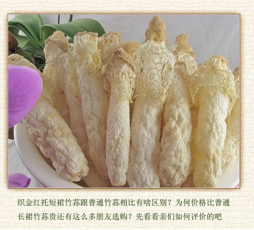 T2b6NNXbJcXXXXXXXX_!!68909643.jpg