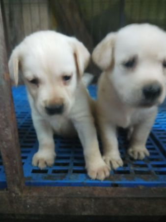 QQͼƬ20191015085940.jpg
