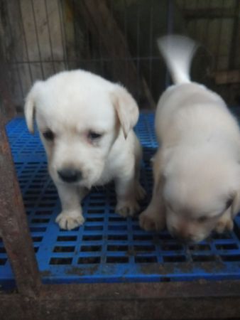 QQͼƬ20191015085908.jpg